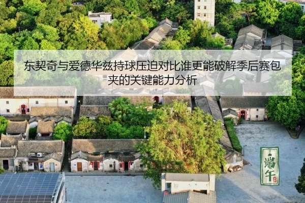 dong-qi-qi-yu-ai-de-hua-zi-chi-qiu-ya-po-dui-bi-shui-geng-neng-po-jie-ji-hou-sai-bao-jia-de-guan-jian-neng-li-fen-xi-2-886.jpg