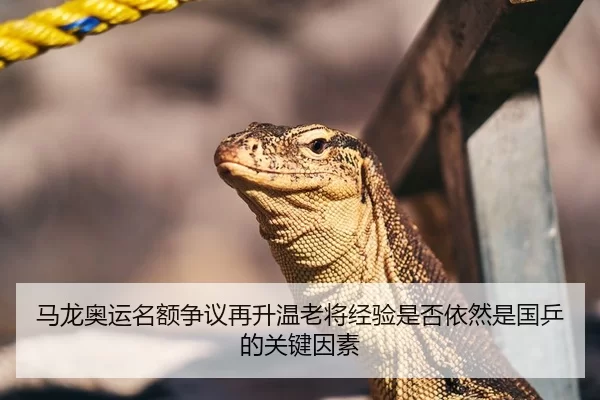 马龙奥运名额争议再升温老将经验是否依然是国乒的关键因素 | Yabo